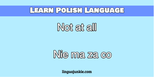 you're welcome in polish