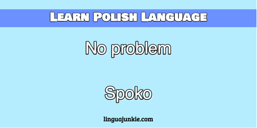 you're welcome in polish