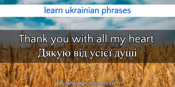 thank you in ukrainian