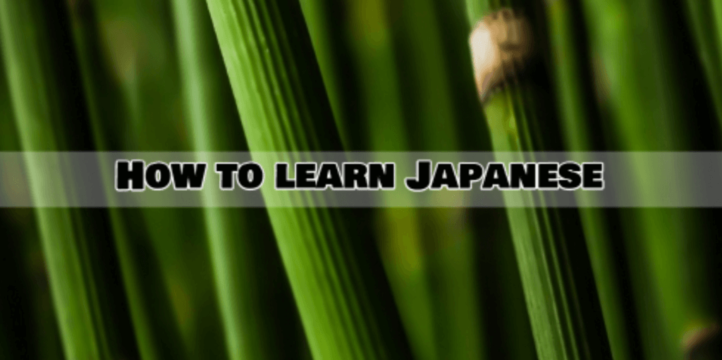 japanese pdf lesson