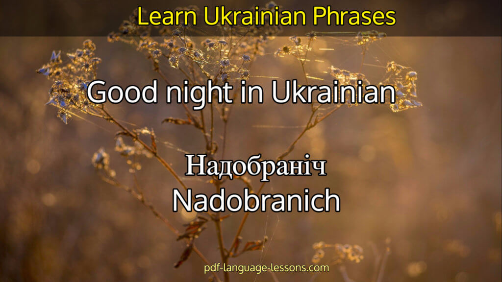 For Learners 10 Unique Ways To Say Bye In Ukrainian