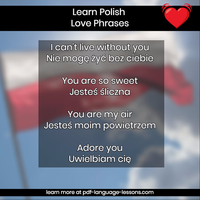 i love you in polish
