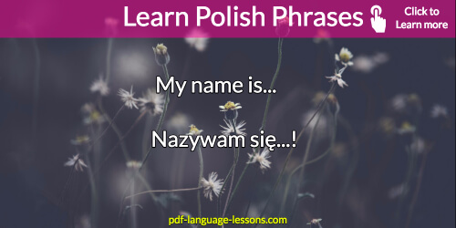 useful polish phrases