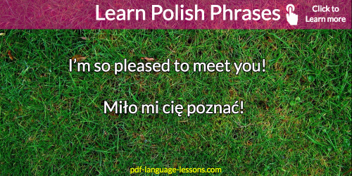 useful polish phrases
