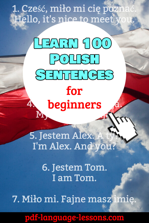 Top 100 Polish Sentences That Beginners Must Know