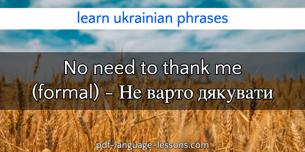 You're Welcome in Ukrainian(2)